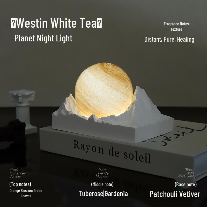 Moon Valley Aroma Diffuser: Elegant Bedroom Night Light & Fragrance Gift for Girls