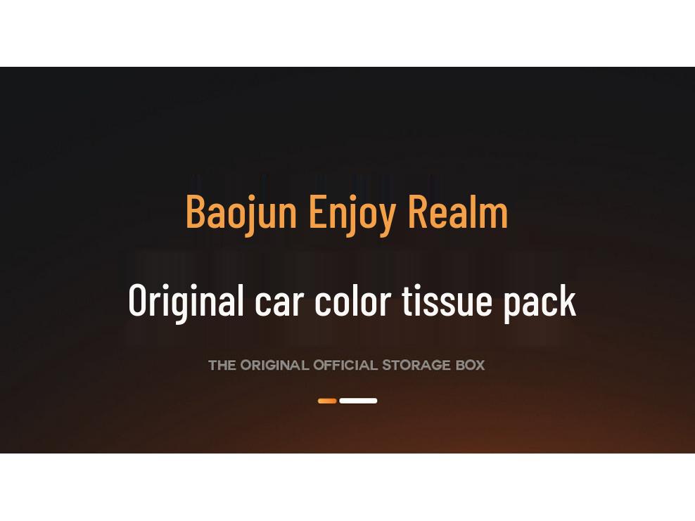 Baojun Xiangjing 25 New Model Car Armrest & Seat Back Tissue Holder