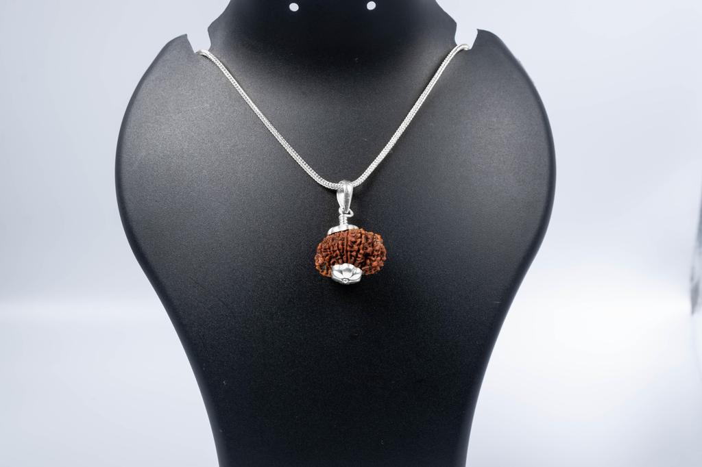 Přírodní 12mukhi rudraksha 925 stříbrný přívěsek – nepálský původ | Korálek pro vedení, sebedůvěru, solární čakru a úspěch | Organický a laboratorně certifikovaný