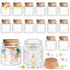 24er-Pack kleine Glasflaschen mit Korken, 50 ml / 1,7 oz, Kleine Glasgefäße Zaubergläser Klare Trankflaschen Mini-Glasflaschen mit Korken