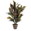 Artificial Plant - Mica Decorations - Croton - H73 Cm - Ø40 Cm - Variegated Green