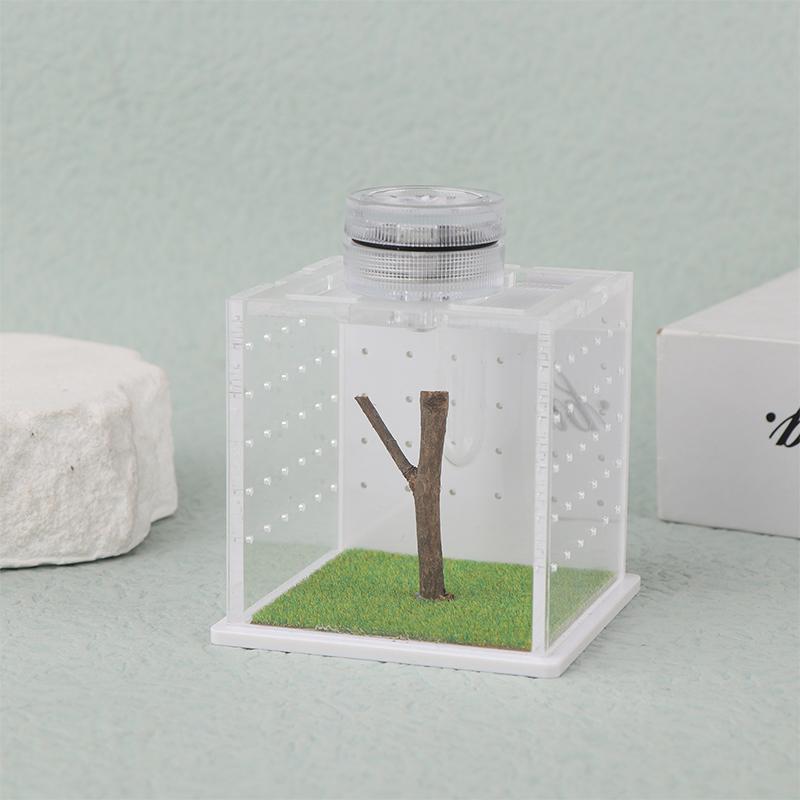 

Террариум для паука-скакуна - Акриловая коробка для разведения рептилий Коробка для паука-скакуна со светом Увлажнитель Контейнер для кормления Аксессуары 6.5cm