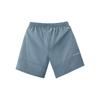 Li Ning Badminton Collection Sports Shorts Unisex AAPV049