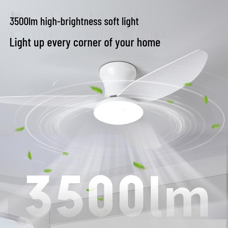 2025 Nordic Ceiling Fan Light: Variable Frequency, Compact Design, Suitable for Bedroom - Meets Japanese & American Standards