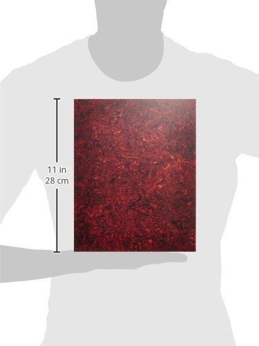 Scud Pickguard Sheet, Red Tortoiseshell Pattern, F-PGRT for Acoustic Guitars