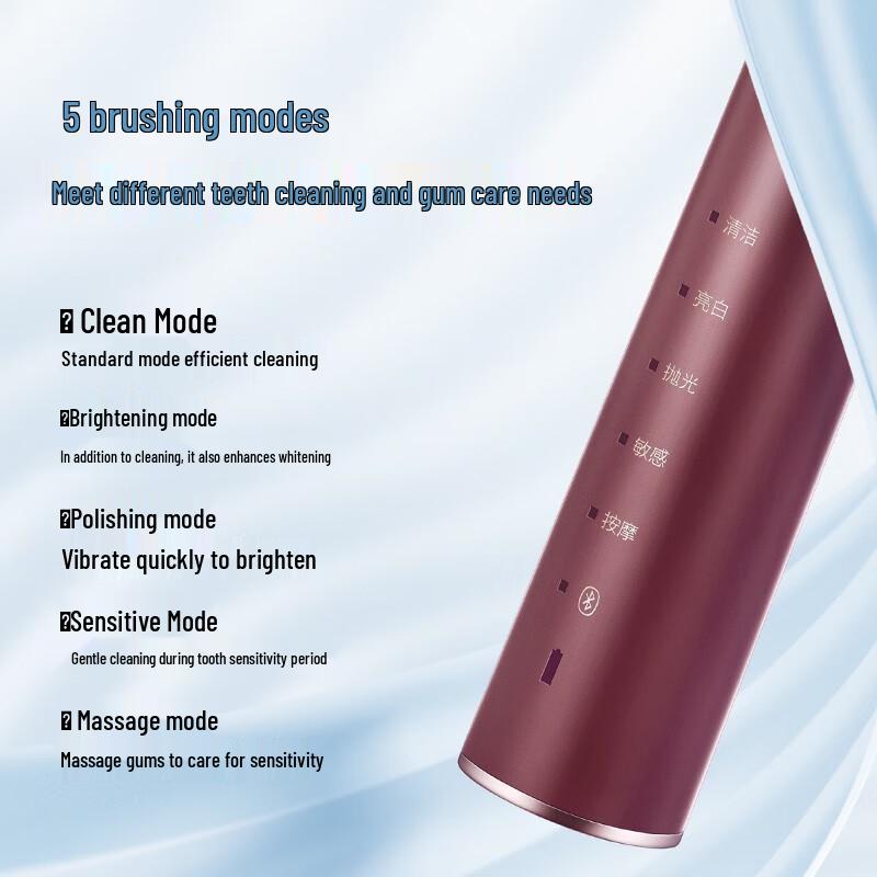 FLYCO FT7205 Smart Sonic Electric Toothbrush