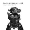 SWFOTO 60mm Large Tripod Ball Head with Quick Release Clamp 66 Lbs Weight Capacity XB-60 Arca-Swiss Lever, (30kg)