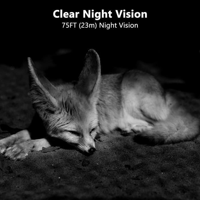Caméra de Chasse - Folgtek - 24MP - Vidéo 1296P - WiFi - Vision Nocturne 23m