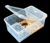 Horn Frog Breeding Box Pet Snake Spider Scorpion Centipede Guarding Palace Snail Insect Turtle Tank