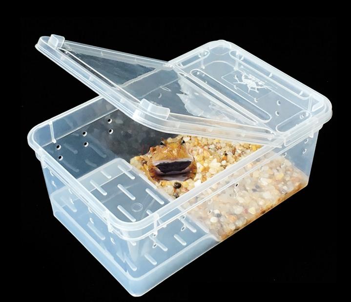 Horn Frog Breeding Box Pet Snake Spider Scorpion Centipede Guarding Palace Snail Insect Turtle Tank