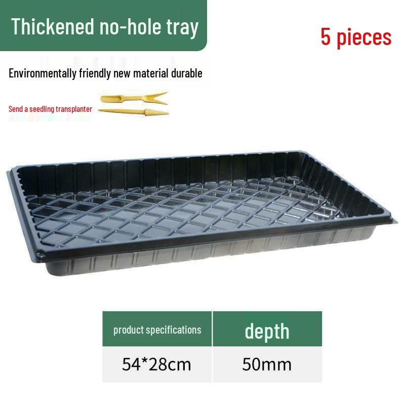 Thickened Plastic Succulent Seedling Tray for Cultivation & Cutting