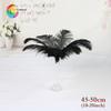 45-50Cm South African Ostrich Hair Modern Feather Lamp Wedding Stage Decoration High Quality Ostrich Hair