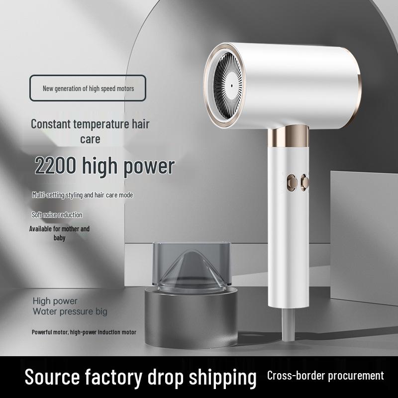 High-Power Hair Dryer for Home, Quick-Dry with No Damage, Hot/Cold Air, Constant Temperature Control