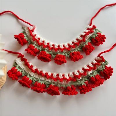 Abbigliamento e scarpe – Accessori per cani