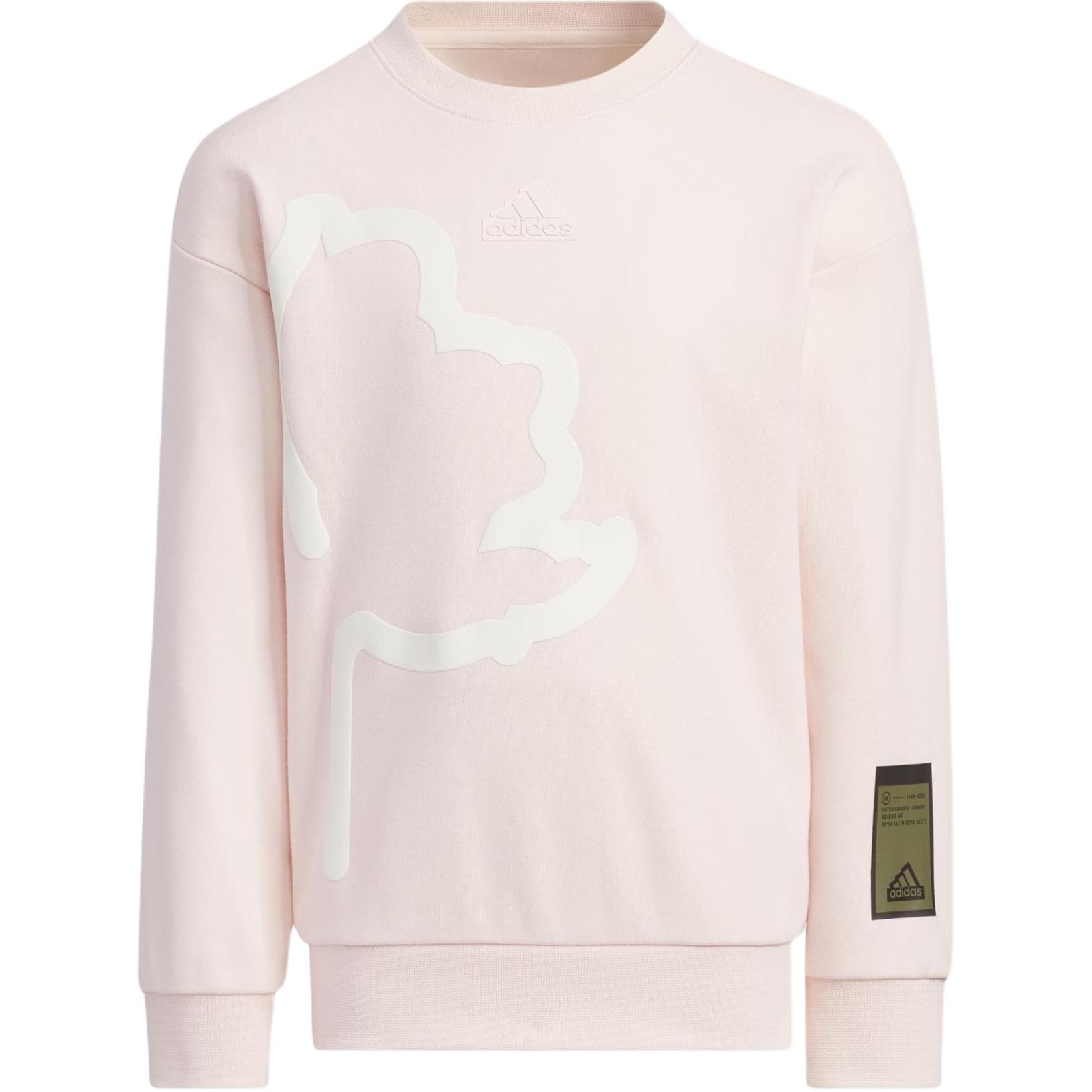 Adidas Sweatshirt Sportswear Outdoor Sweatshirt Jade White Kids  IQ0995 104