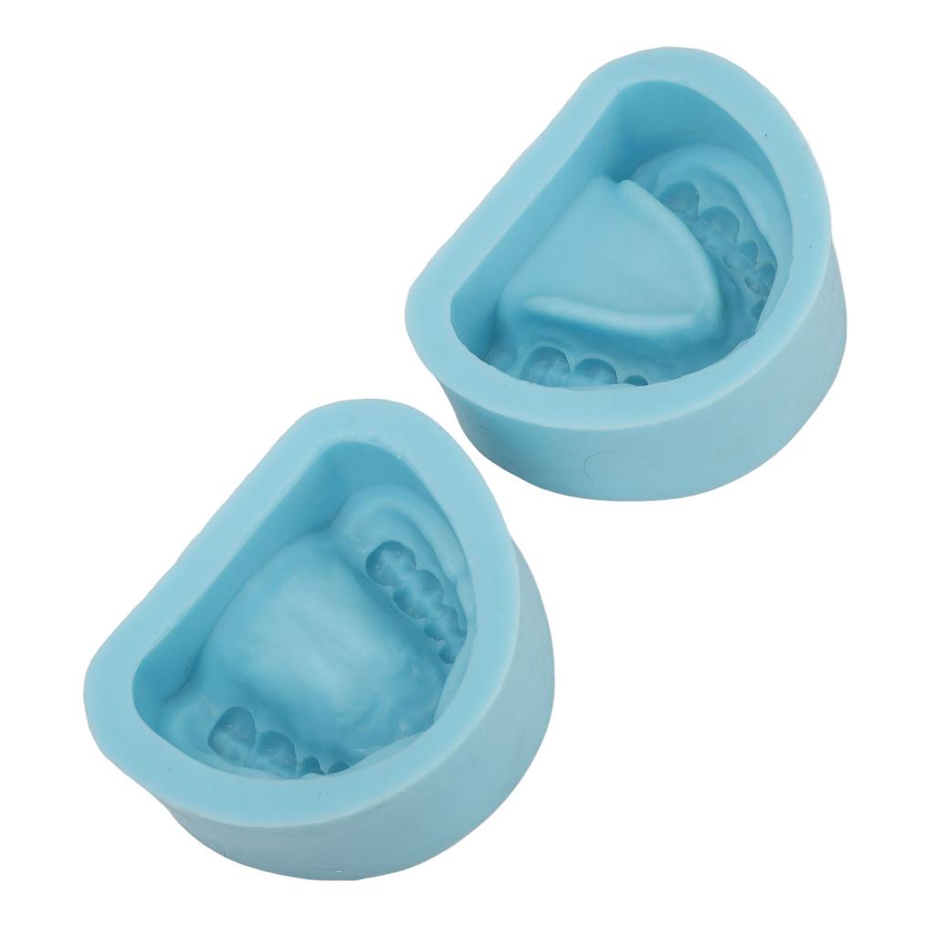 2pcs Dental Material Female Mold Full Mouth Soft Silicone Edentulous Female Plaster Model