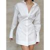 Fashion Style New Polo Collar Temperament Shirt Dress Fashion Short Skirt Long Sleeve Shirt Dress