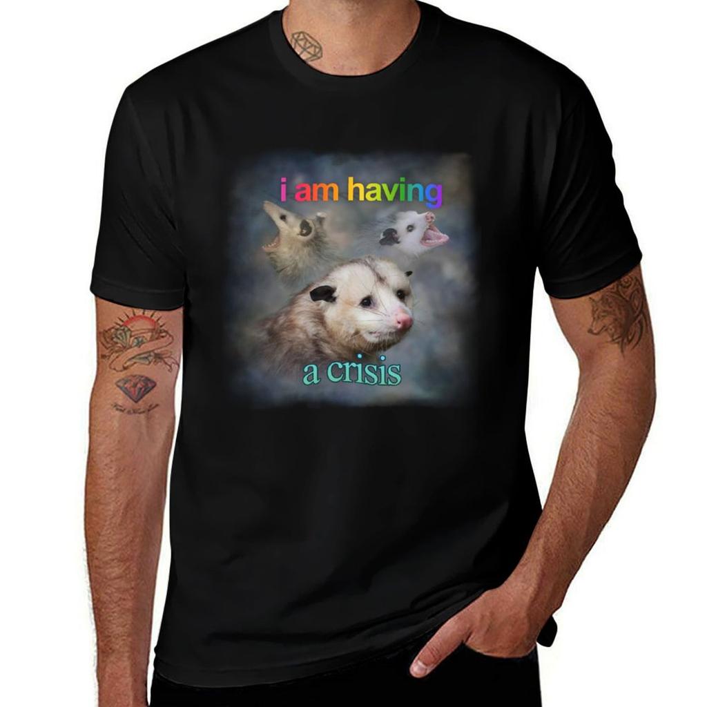 I Am Having A Crisis Possum Word Art Tshirt Retro Graphic Print Tshirt