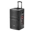HuiDu NB-800L Professional Outdoor PA Trolley Speaker