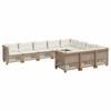 VidaXL Salon de jardin avec coussins 10 pcs beige résine tressée 3262036