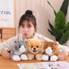 Cat Dog Cute Plush Toy Pillow Interior Decoration Image Realistic Material Soft