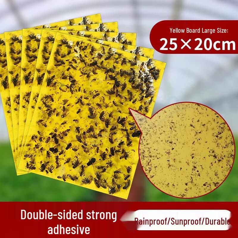 Double-Sided Fruit Fly & Insect Sticky Traps