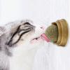 Healthy Catnip Snack Stick-on Molar Teeth Cat Catnip Ball Toys Removes Hair Balls Promote Digestion with Dust Cover Pet Supplies