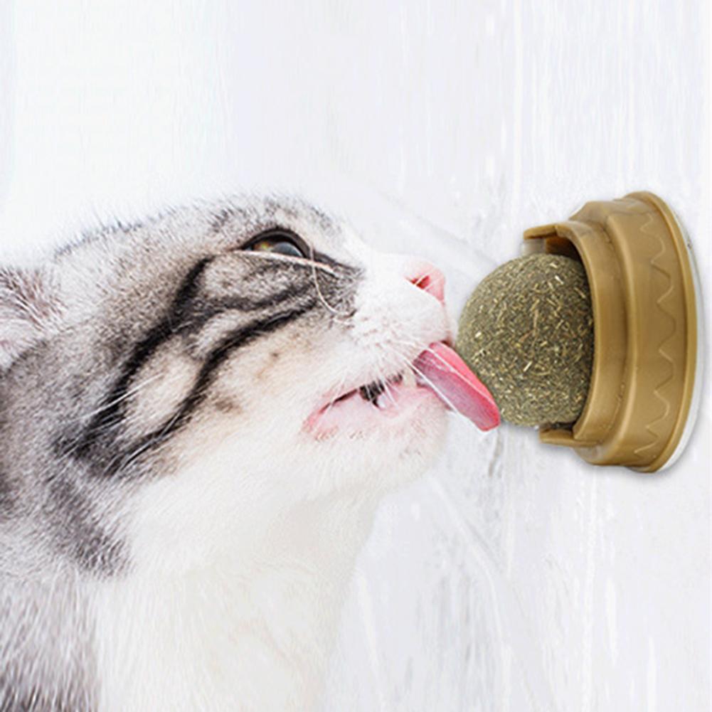Healthy Catnip Snack Stick-on Molar Teeth Cat Catnip Ball Toys Removes Hair Balls Promote Digestion with Dust Cover Pet Supplies