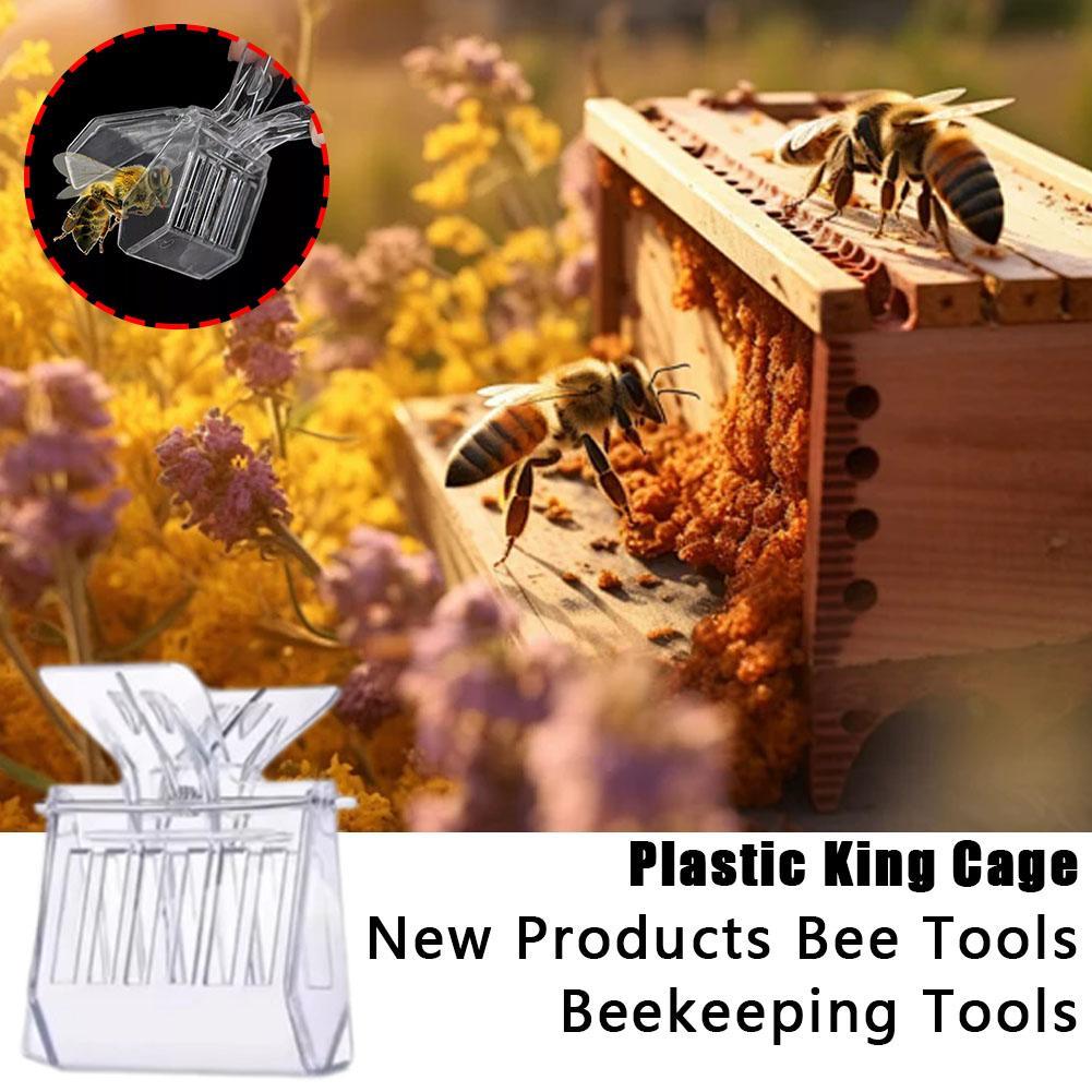 1/5PCS Bee Queen Catcher Colorless Clear Plastic Clip Beekeeping Isolation Room Cage Equipment K5R2