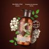 Fenghua Jiuzun Plant Extract Anti-Hair Loss Shampoo