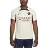 Nike Paris Saint Germain Soccer Jersey Men's DX3022-116