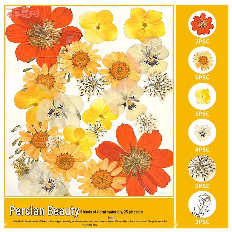 Handmade Pressed Flower Bookmark and Epoxy Sticker Pack with Real Leaf and Plant Specimens for DIY Face Makeup.