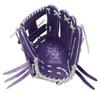 Rawlings PRO EXCEL GR5FHECN62 Baseball Throw HOH® –Color Palette- Glove, Softball, Infielder's, Purple, 11.25 inches, Right-Handed