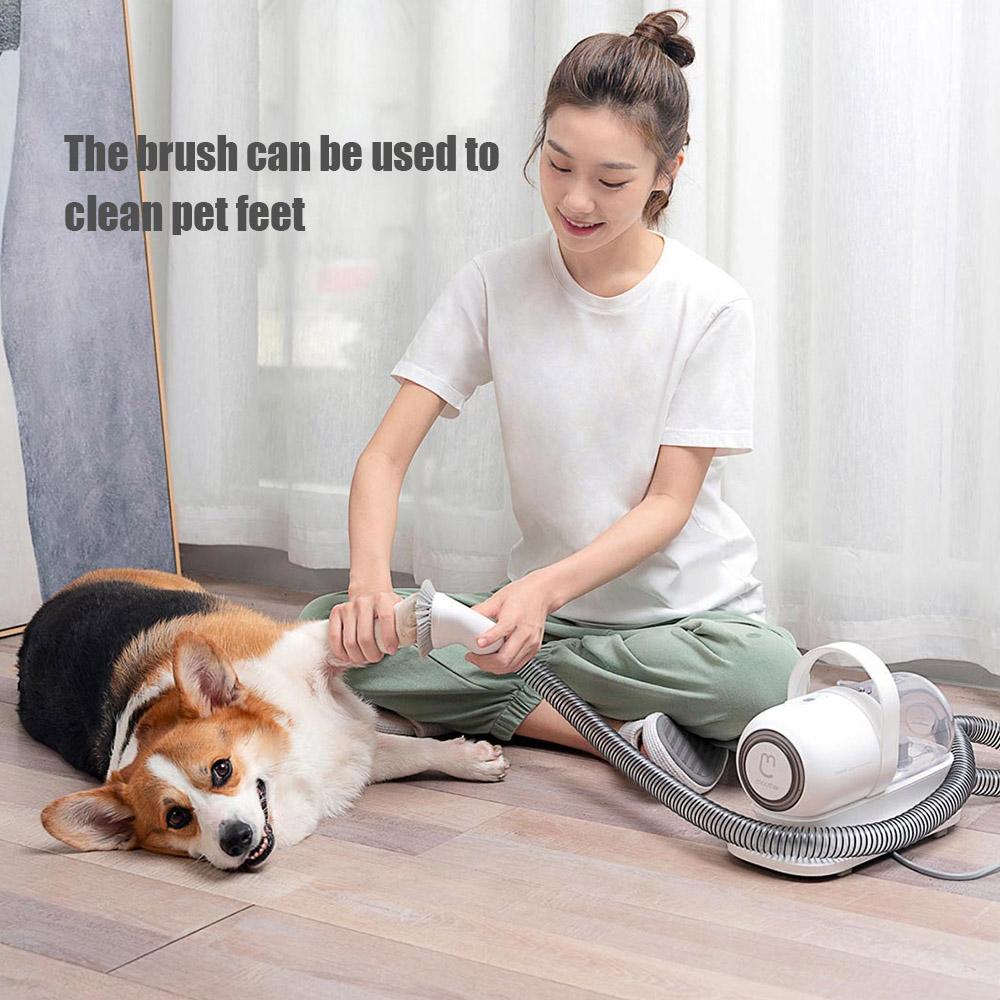 Buy Maother G2 Pet MultiFunction Hair Trimmer Pet Vacuum Grooming Brush Self Cleaning Slicker