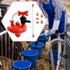 Automatic Drinker Water Line Regulator Pressure Reducer Accessories with Valve Smooth System Poultry
