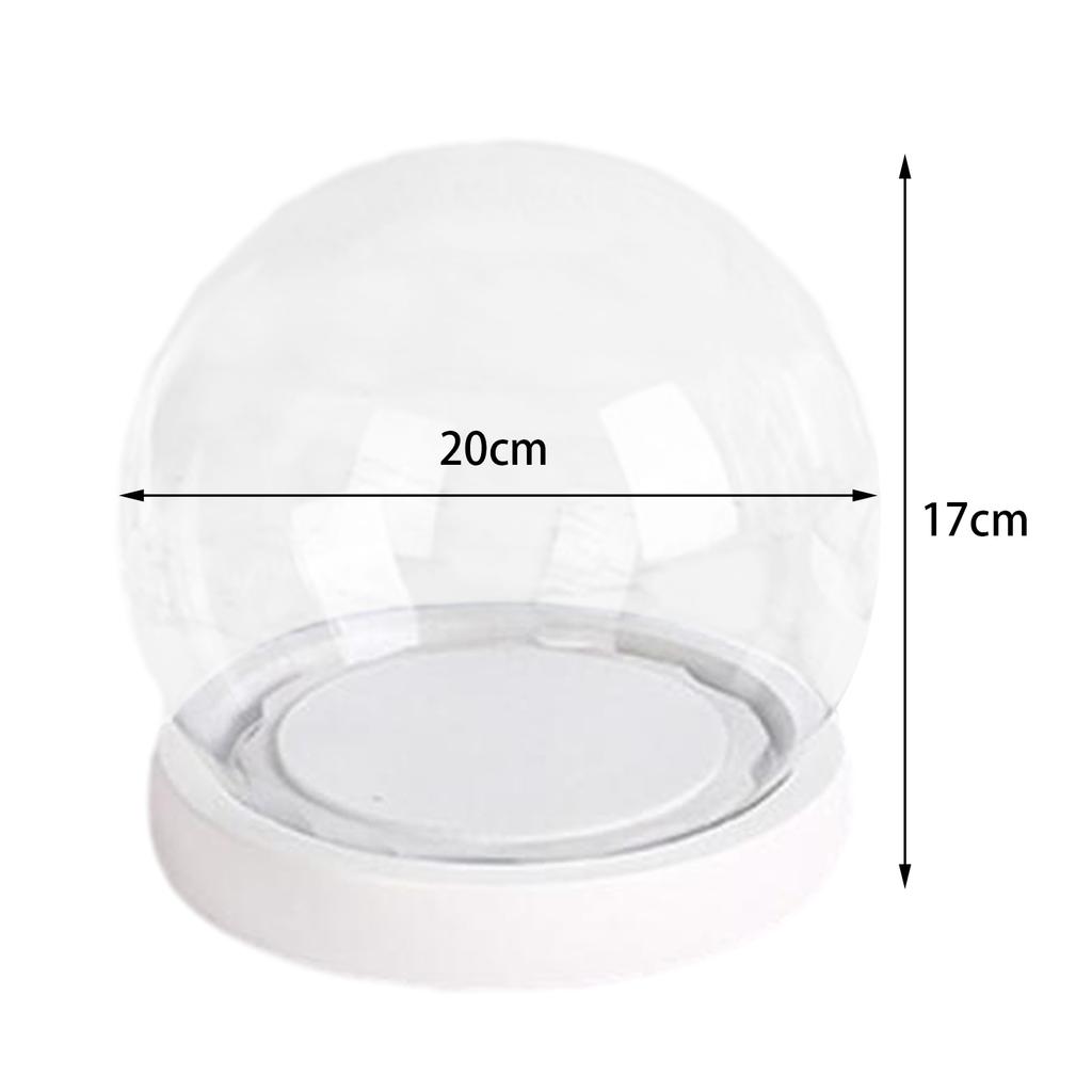 Mini Glass Dome Container Decorative Dome Clear Glass Dome with Base Glass Dome for Flower Small Plant Decor Round Jar Display C