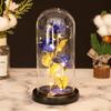 Three glass cover gold foil rose ornament creative lover mother's day gift christmas lights immortal flower