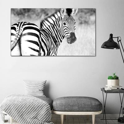 RELIABLI ART Canvas Painting Zebra Posters And Prints Animal Pictures Cuadros Wall Art For Living Room Black White Canvas Art