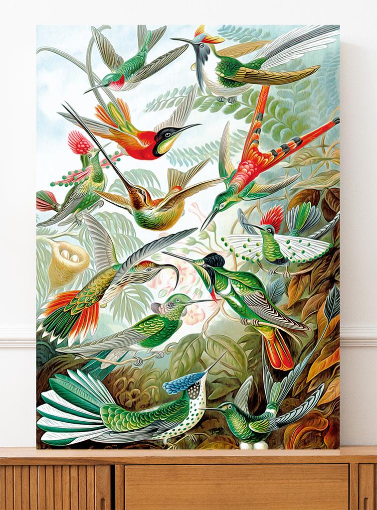 Birds of Paradise Poster Composition