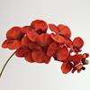 10-köpfige Phalaenopsis-Simulationsblumen, Phalaenopsis-Seidenblumen, Hochzeitsdekoration Fotografie-Requisiten