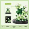 Preserved Flower Gift: Sunflower & Rose with Cover - Building Block Ornament for Boys & Girls