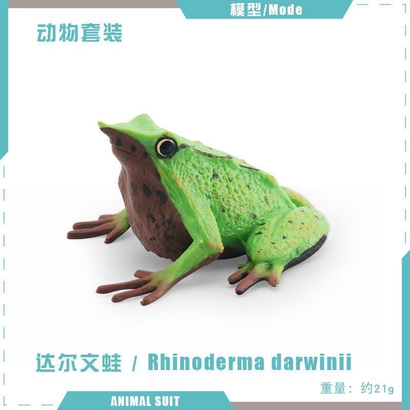 Simulated Insect Model, Liriodendron Beetle, Beetle, Triangular Dead-Leaf Frog, Reptile, Desktop Toy