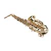 Eb Alto Saxophone Kit Golden Brass Engraving Curved Neck Saxophone Wind Instrument for All Players