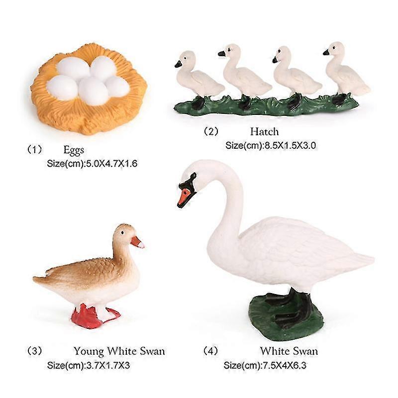 4 PCS Goose Farm Animal Life Cycle Model Simulation Animal Growth Cycle Figure Figurine Set Kid Toy