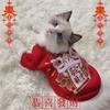 Katten – Kleding voor katten
