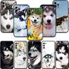 LO53 Husky Puppy Dog Soft Shell Phone Case for iPhone SE X XS XR 11 16E 17 Pro Max Air 8 7 6 6s Plus