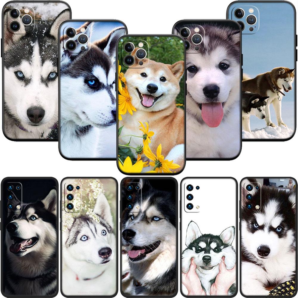 LO53 Husky Puppy Dog Soft Shell Phone Case for iPhone SE X XS XR 11 16E 17 Pro Max Air 8 7 6 6s Plus