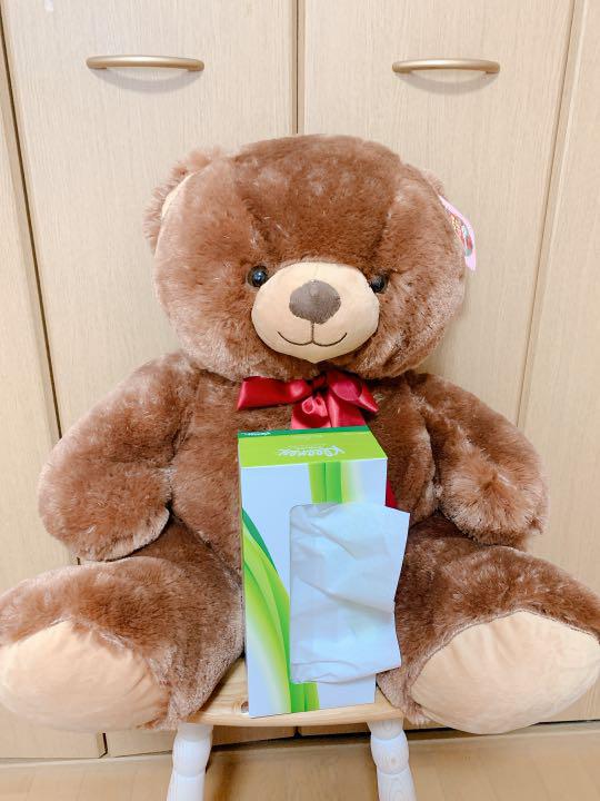[USED] Large Teddy Bear Plush Toy, Chocolate