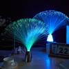 Color-Changing Fiber Optic Starry Sky Lanterns - Festival Light-Up Toy Decorations
