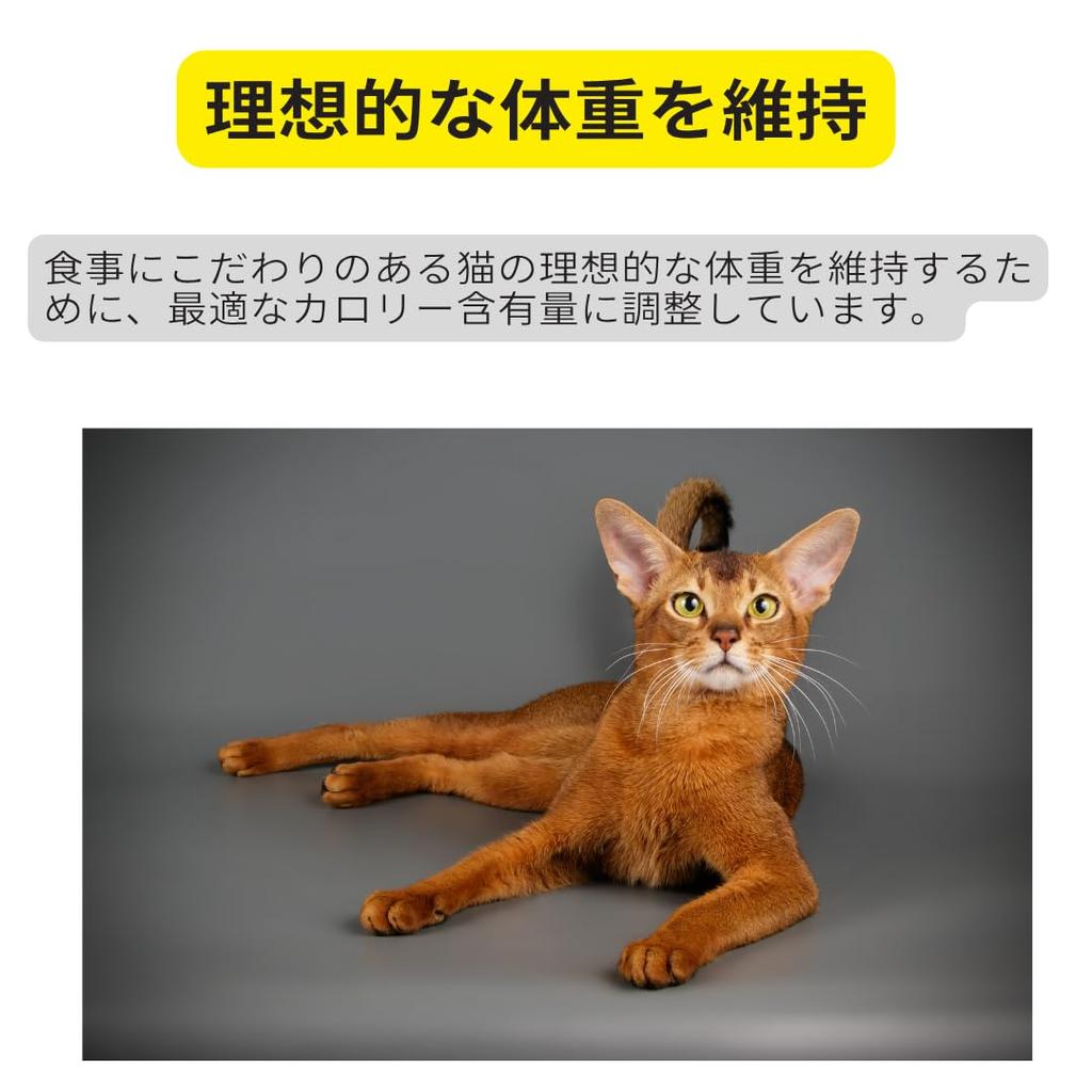 Royal Canin Exigent Saver 2kg Cat FHN for Adult with a Focus On Taste and Tailored To Your Individual It Helps Maintain an Ideal Food, Dry, Cats,